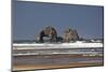 Rockaway Beach, Twin Rocks, Oregon, USA-Jamie & Judy Wild-Mounted Photographic Print