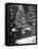 Rockefeller Center Christmas Tree at Night-Alfred Eisenstaedt-Framed Stretched Canvas