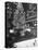 Rockefeller Center Christmas Tree at Night-Alfred Eisenstaedt-Stretched Canvas