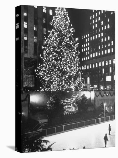 Rockefeller Center Christmas Tree at Night-Alfred Eisenstaedt-Stretched Canvas