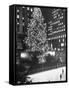 Rockefeller Center Christmas Tree at Night-Alfred Eisenstaedt-Framed Stretched Canvas