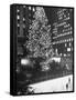 Rockefeller Center Christmas Tree at Night-Alfred Eisenstaedt-Framed Stretched Canvas