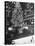 Rockefeller Center Christmas Tree at Night-Alfred Eisenstaedt-Stretched Canvas