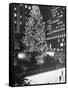 Rockefeller Center Christmas Tree at Night-Alfred Eisenstaedt-Framed Stretched Canvas