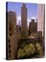 Rockefeller Center-Marty Lederhandler-Stretched Canvas