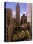 Rockefeller Center-Marty Lederhandler-Stretched Canvas