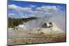 Rocket and Grotto Cone Geysers Erupt, Upper Geyser Basin, Yellowstone National Park, Wyoming, Usa-Eleanor Scriven-Mounted Photographic Print