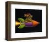 Rocket Dog-Chris Miles-Framed Art Print
