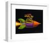 Rocket Dog-Chris Miles-Framed Art Print