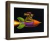 Rocket Dog-Chris Miles-Framed Art Print