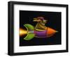 Rocket Dog-Chris Miles-Framed Art Print