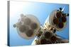 Rocket Engines-Kuzma-Stretched Canvas