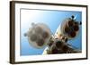 Rocket Engines-Kuzma-Framed Photographic Print