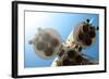Rocket Engines-Kuzma-Framed Photographic Print