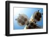 Rocket Engines-Kuzma-Framed Photographic Print