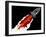 Rocket Launch-Complot-Framed Art Print