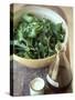 Rocket Salad with Vinaigrette-Jean Cazals-Stretched Canvas