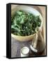 Rocket Salad with Vinaigrette-Jean Cazals-Framed Stretched Canvas