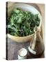 Rocket Salad with Vinaigrette-Jean Cazals-Stretched Canvas