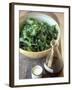 Rocket Salad with Vinaigrette-Jean Cazals-Framed Photographic Print