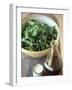 Rocket Salad with Vinaigrette-Jean Cazals-Framed Photographic Print