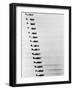 Rocket-Shooting Sequence-null-Framed Photographic Print