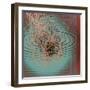 Rocket Summer 3-Mark Gordon-Framed Giclee Print