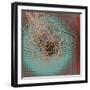 Rocket Summer 3-Mark Gordon-Framed Giclee Print