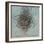 Rocket Summer Variation-Mark Gordon-Framed Giclee Print