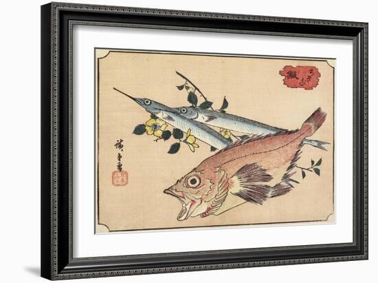 Rockfish and Halfbeak, Early 19th Century-Utagawa Hiroshige-Framed Giclee Print