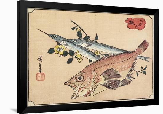 Rockfish and Halfbeak, Early 19th Century-Utagawa Hiroshige-Framed Giclee Print