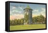 Rockford Park Water Tower-null-Framed Stretched Canvas