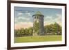 Rockford Park Water Tower-null-Framed Premium Giclee Print