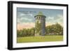 Rockford Park Water Tower-null-Framed Art Print