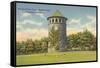 Rockford Park Water Tower-null-Framed Stretched Canvas