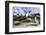 Rockhopper Penguin Hopping up and down the cliffs. Falkland Islands-Martin Zwick-Framed Photographic Print