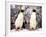 Rockhopper Penguins at Whipsnade Zoo, January 1987-null-Framed Photographic Print
