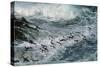 Rockhopper Penguins Surfing into Shore-null-Stretched Canvas
