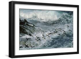 Rockhopper Penguins Surfing into Shore-null-Framed Photographic Print