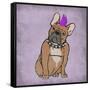 Rockin Frenchie-Marcus Prime-Framed Stretched Canvas