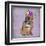 Rockin Frenchie-Marcus Prime-Framed Art Print