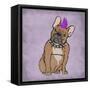 Rockin Frenchie-Marcus Prime-Framed Stretched Canvas