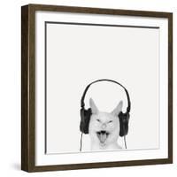 Rockin’ Kitten-Jon Bertelli-Framed Photographic Print