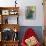 Rocking Chairs on Porch, Ste. Genevieve, Missouri, USA-Walter Bibikow-Photographic Print displayed on a wall