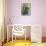 Rocking Chairs on Porch, Ste. Genevieve, Missouri, USA-Walter Bibikow-Photographic Print displayed on a wall