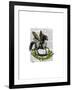 Rocking Horse Fly-Fab Funky-Framed Art Print