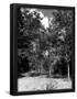 Essential Black