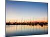 Rockport, Texas, USA-Larry Ditto-Mounted Premium Photographic Print