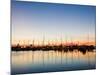 Rockport, Texas, USA-Larry Ditto-Mounted Photographic Print