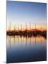 Rockport, Texas, USA-Larry Ditto-Mounted Photographic Print